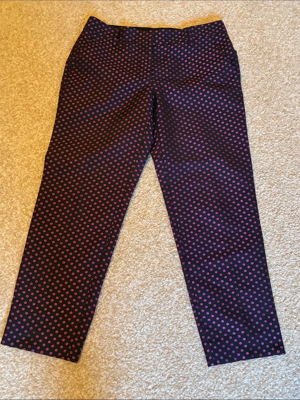 NWT J. Crew City Fit Skimmer Pants Polkadot 4 - Picture 2 of 6